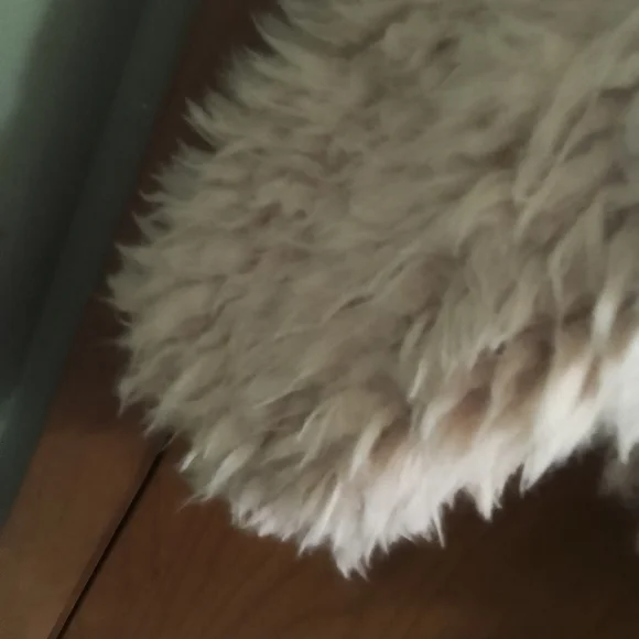 Anthropologie Cream Faux Fur Teddy Jacket Size XXS Faux Fur And Polyester Fabri - Picture 4 of 12